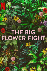 The Big Flower Fight